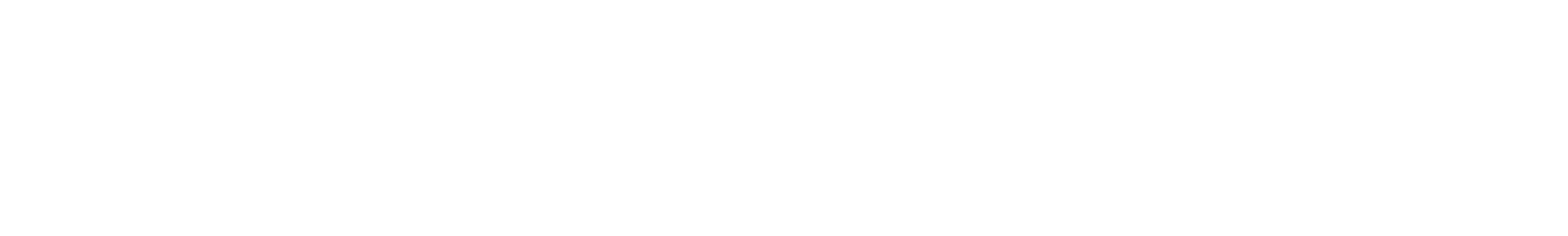 Connex Us Logo-02